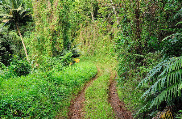 Travel Inspiration