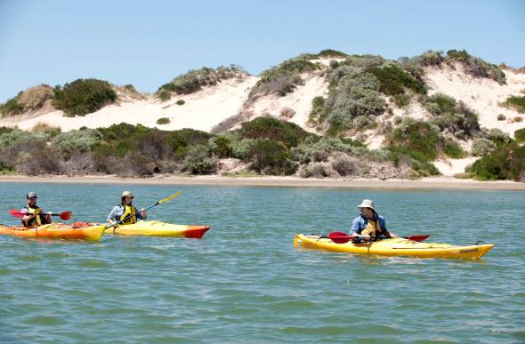 People kayaking the Coorong in South Australia