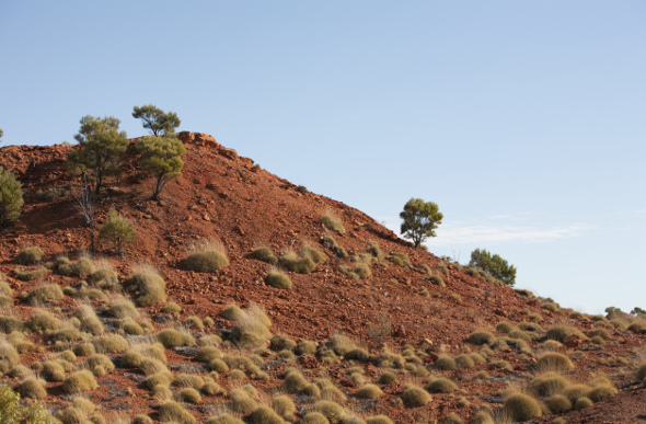  Lark Quarry, Outback, Queensland, Australia, Getty