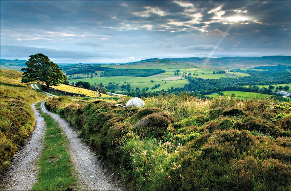 Yorkshire Dales