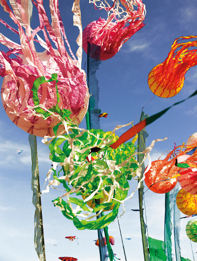 Kite Flying