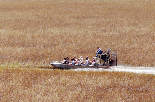 Everglades