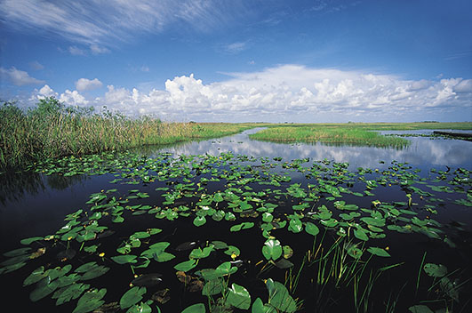 Florida