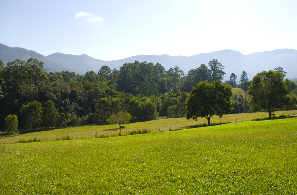 Rolling green hills in the Promised Land near Bellingen, New South Wales.