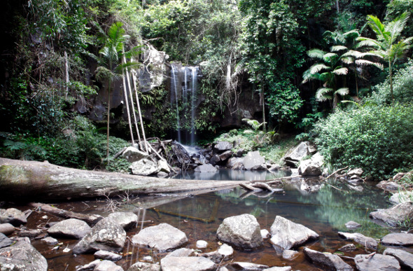 Witches Falls in Mt Tamborine