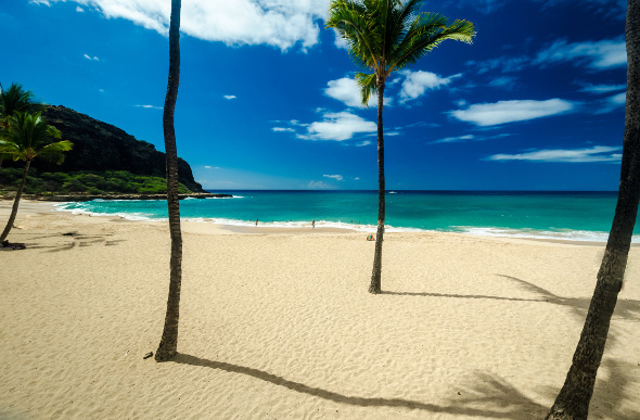 The palm trees, white sand, and ocean blue of Hawaii's Makaha Beach.