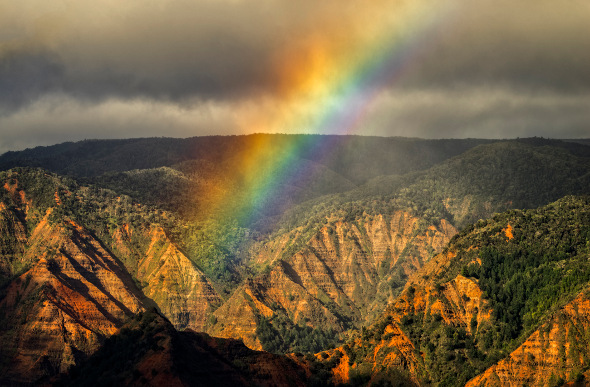 A rainbow rises above Hawaii's Waimea Canyon.