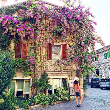 Travel Inspiration