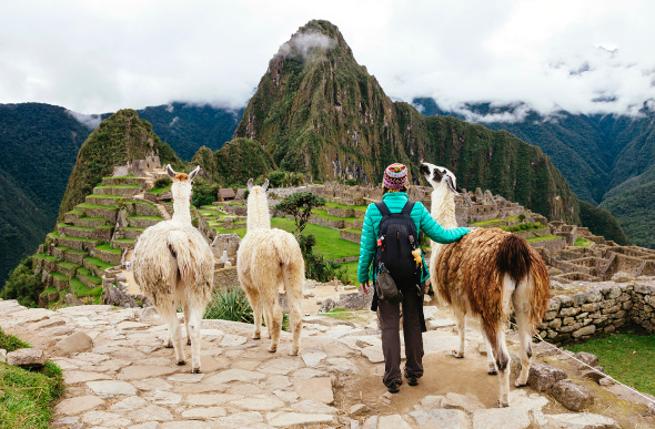 Traveller standing on an outcrop with llamas looking at Machu Picchu