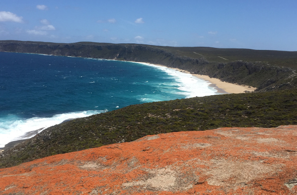 Green cliffs, yellow sand and bright blue water on Kangaroo Island coastline