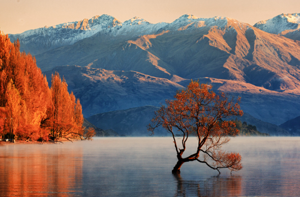 Wanaka.