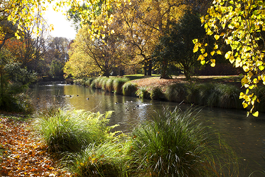 New Zealand