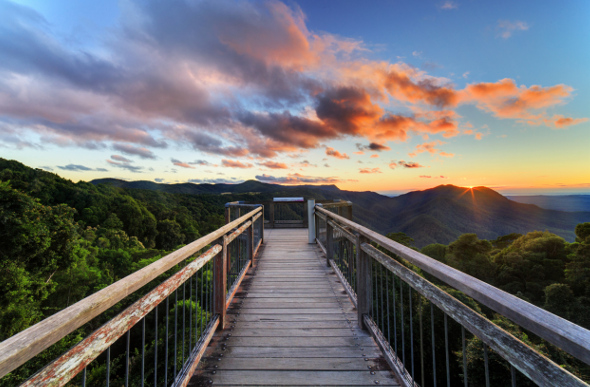 Dorrigo Rainforest Centre