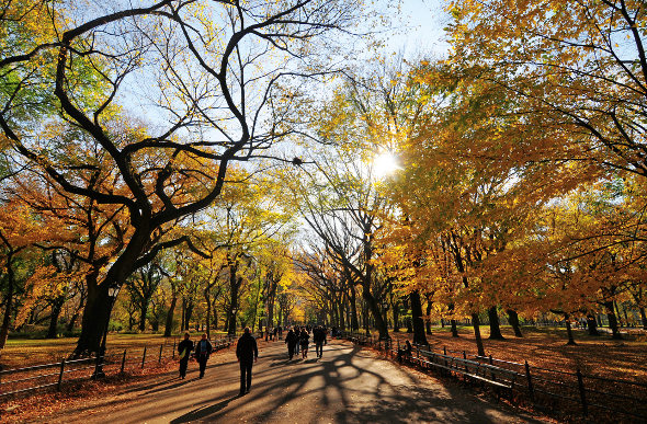 Central park