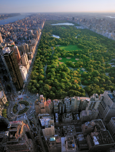 Central park