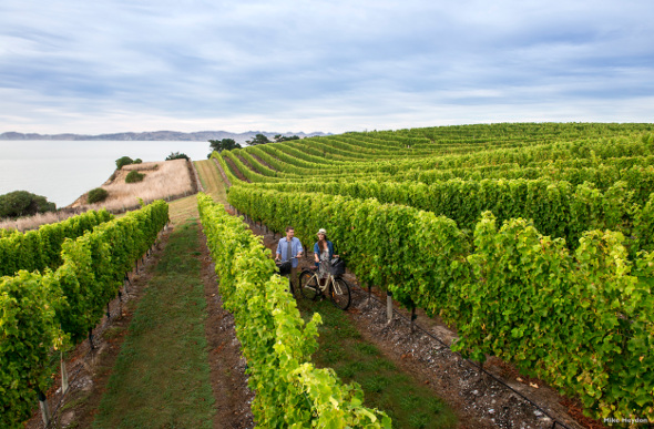 Marlborough winery