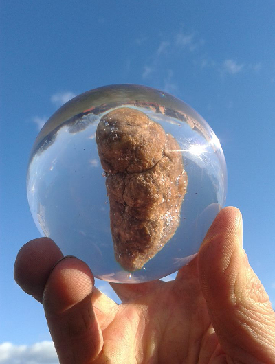 Baby poo in a resin capsule