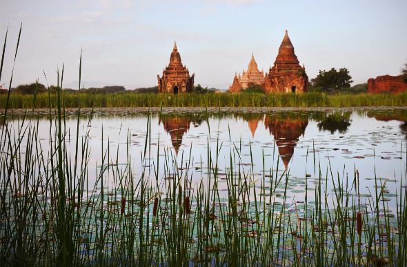 Temples along Myanmar's Irrawaddy River, with reeds in the foreground.