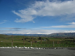 Rotorua