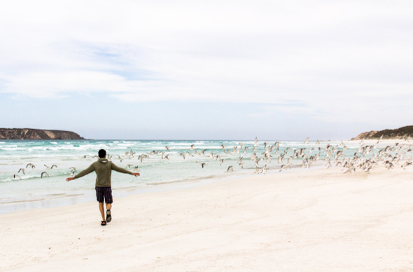 Coffin Bay National Park offers sandy serenity.