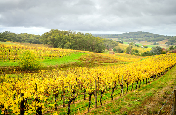 South Australia's wine country never gets boring.