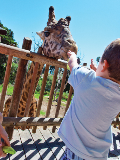 Santa Barbara Zoo
