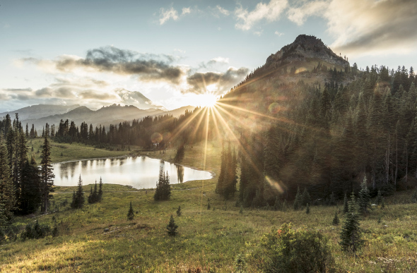 Mt Rainier