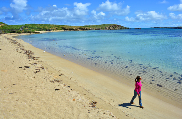 Shoalwater Islands Marine Park