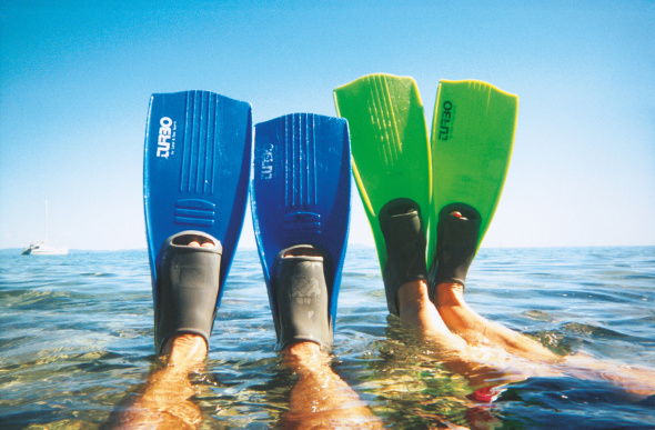 Flippers stick out of the water as snorkellers lie back at Blue Pearl Bay on Hayman Island.
