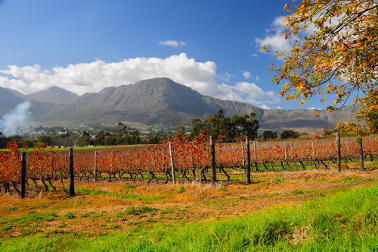 Franschhoek
