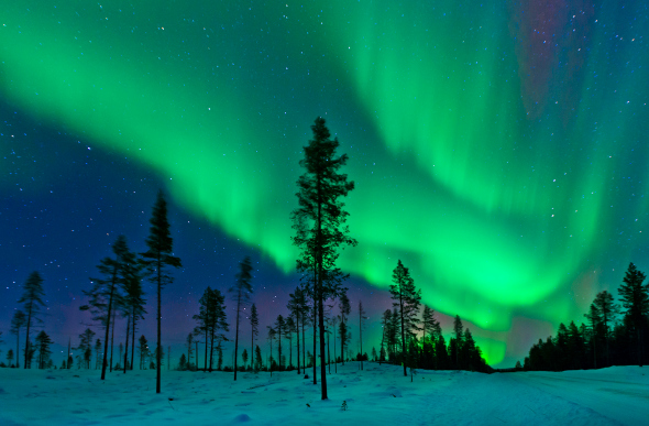 Travel Inspiration