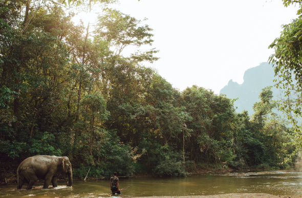 Travel Inspiration