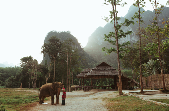 Travel Inspiration