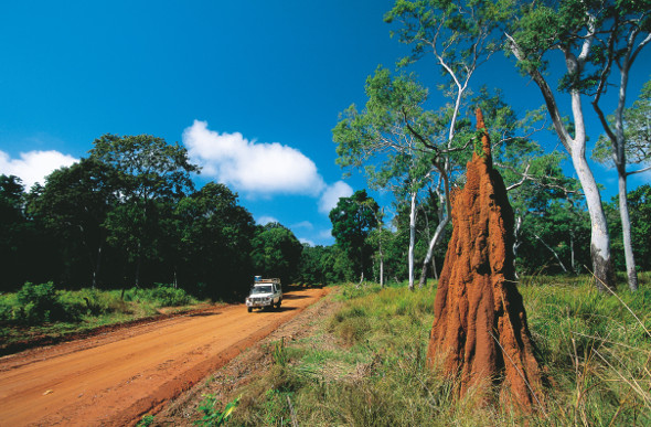 A four-wheel-drive heads past a termite mound beside a red dirt road on the way to Cape York.