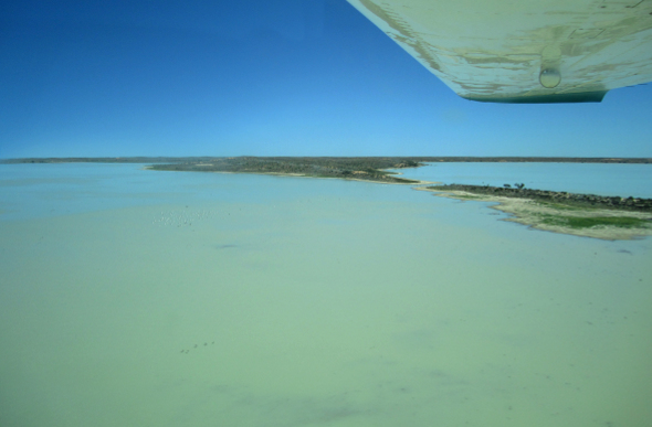 Lake Eyre scenic flight