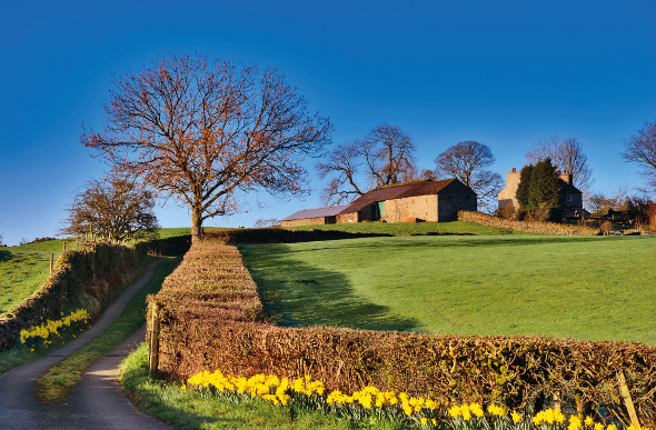Lake District farm