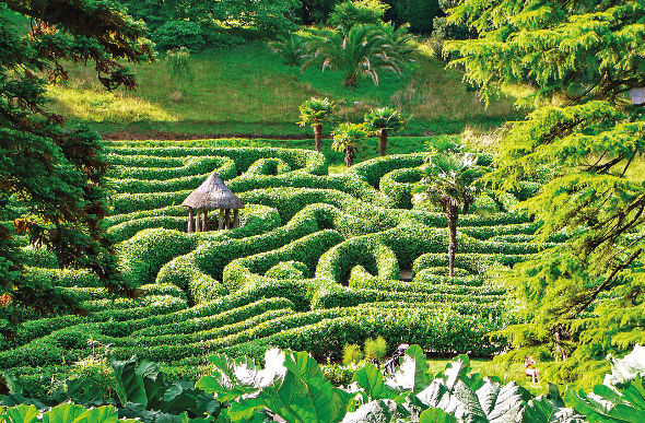 Glendurgan Garden