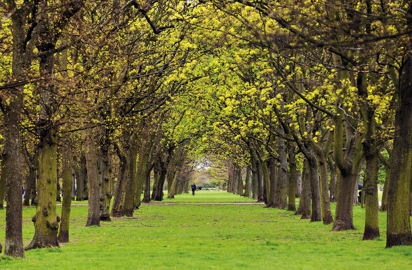 Regent’s Park