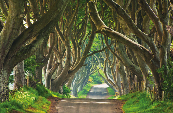 Game Of Thrones