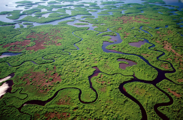 Everglades