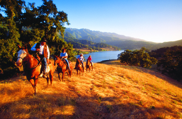 Dude Ranch