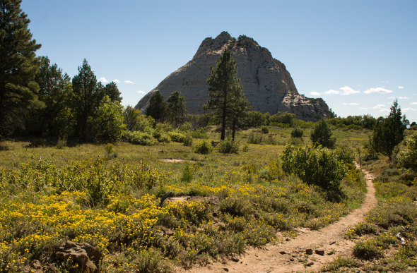 The Wildcat Trail in Zion National Park, USA. Picture: Getty Images