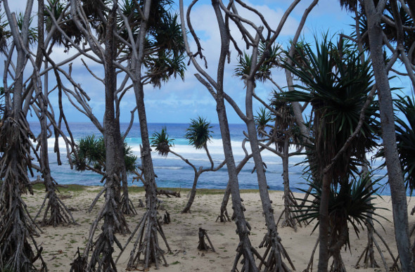 White Sands Beach on Vanuatu