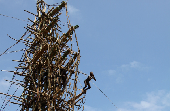 A boy leaps from a tower made of wood and vines, as part of the land-diving ceremony on Pentecost Island in Vanuatu.