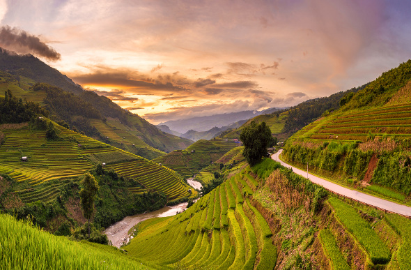 Rice fields and mountains in Sapa