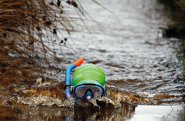 bog-snorkelling