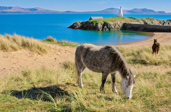 wales island