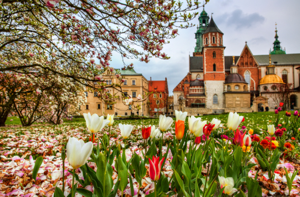 The stunning architecture atop Wawel Hill.