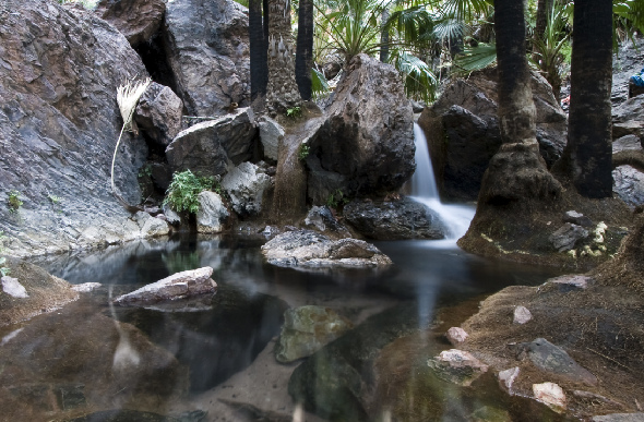 Zebedee Springs