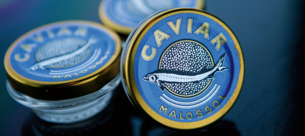 Caviar